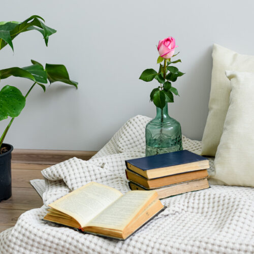 interior-decor-home-plants-and-old-books-2025-01-07-06-05-28-utc (1)